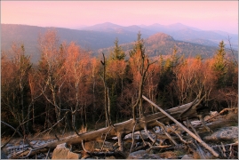<p>Lužické hory - výhled z Jedlové</p>